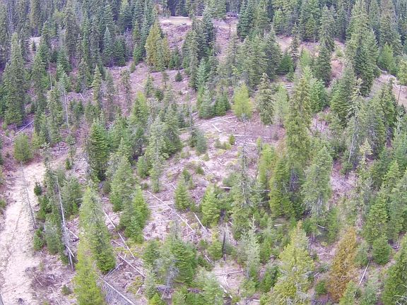 2nd image of 11 Highway