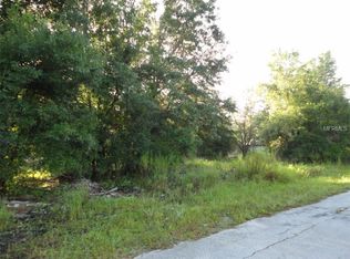 19433 Twiggs St, Land O Lakes, FL 34638