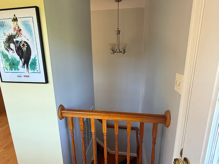 4746 Mountain Rd — Photo 32