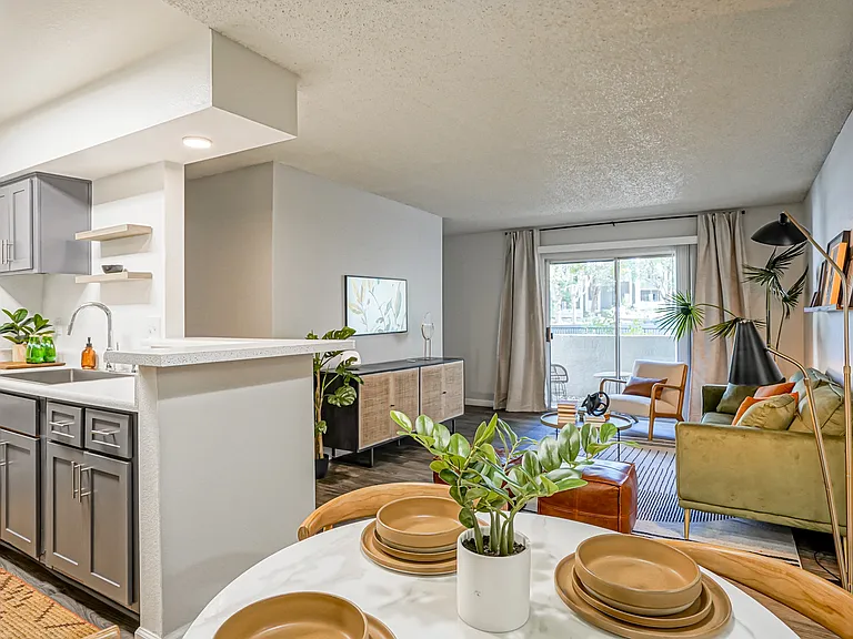 Large Living Space - Platinum interior
