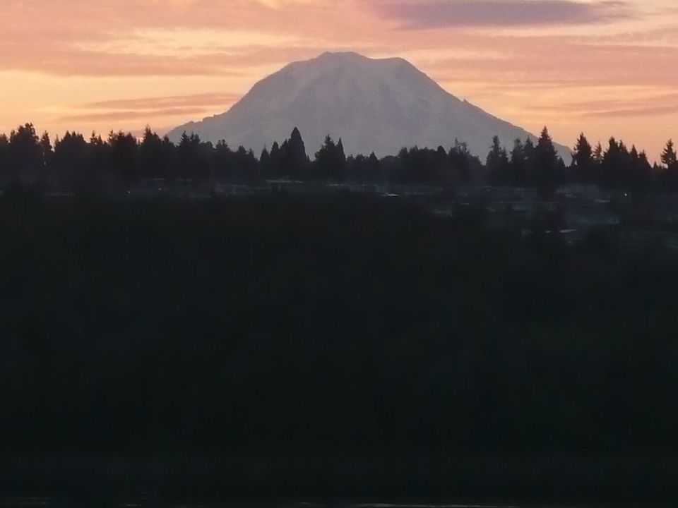Stunning Mount Rainier
