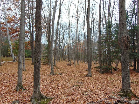 4th image of 1 N Superior Rd