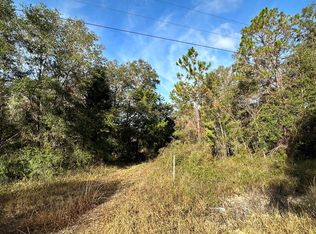 LOT 46 NE 497th St, Old Town, FL 32680