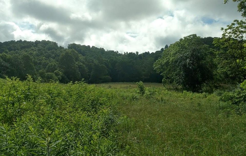 2nd image of 1234 McBrayer Rd