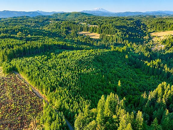3rd image of 0 NE Finalburg Road