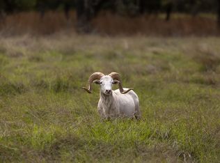 474 Inspiration Loop, Fredericksburg, TX 78624