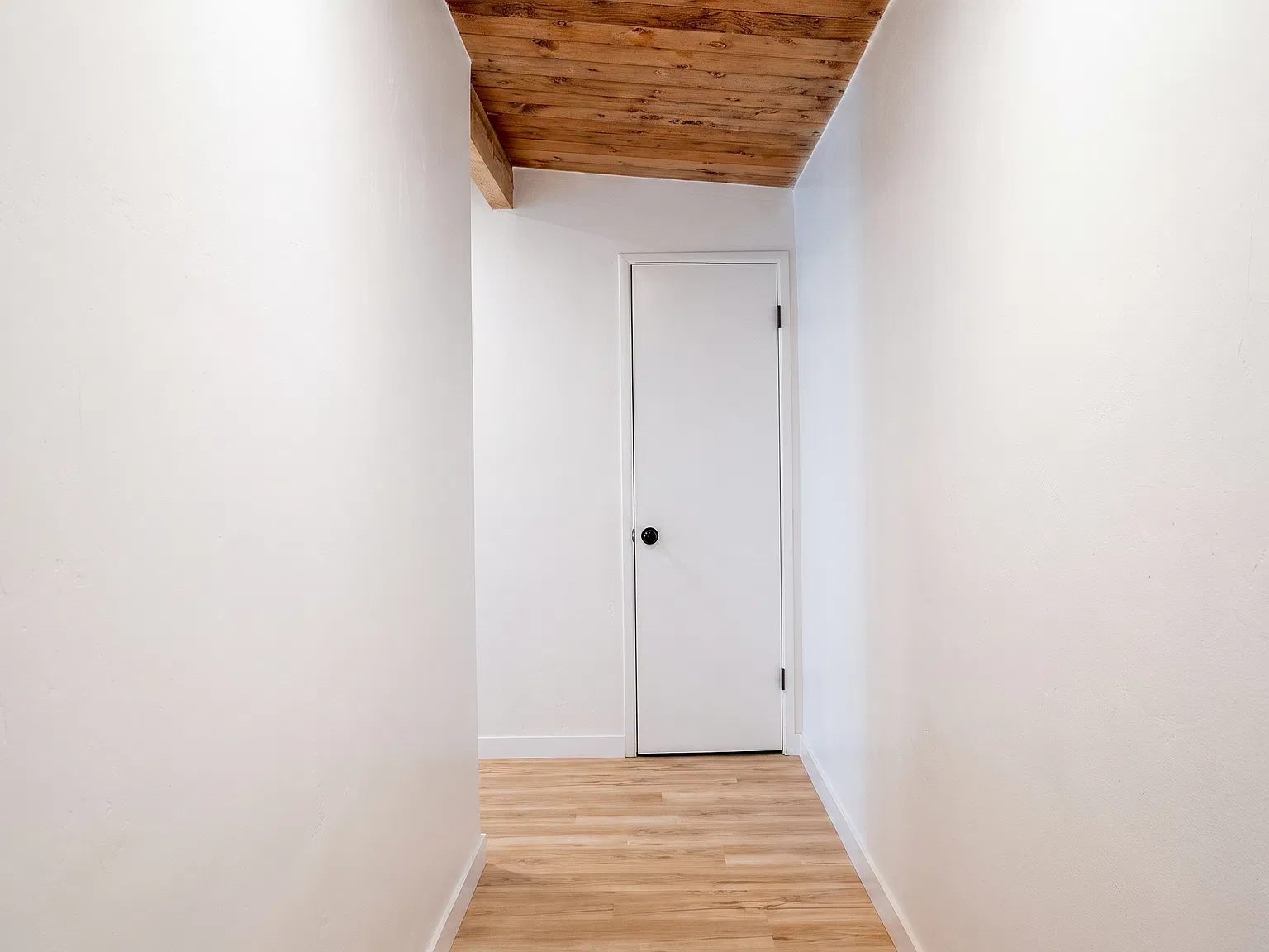 1 bed, $2,600 — Photo 2