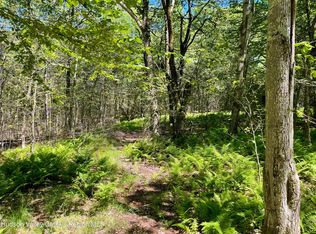 3045 Red Hill Rd, Denning, NY 12740