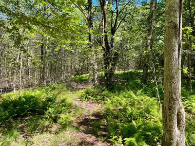 3045 Red Hill Road, Denning, NY, 12740