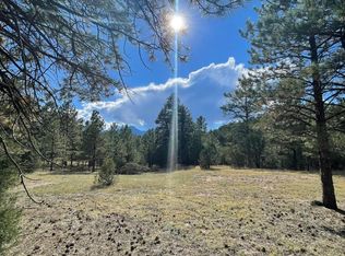 1491 Oak Dr, Westcliffe, CO 81252