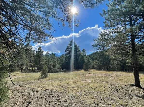 1491 Oak Dr, Westcliffe, CO 81252