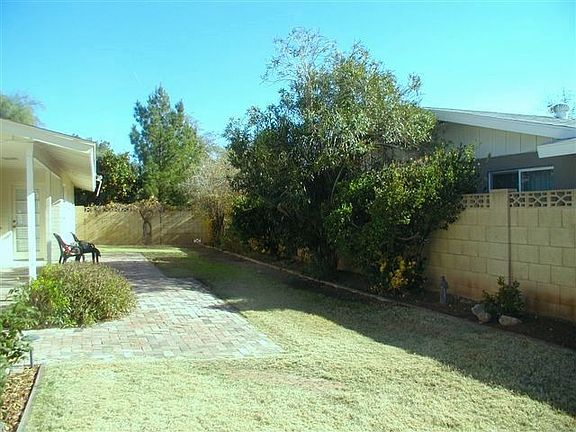 Lush landscaping, grapefruit, tangelo and lemon trees