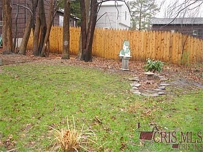 Yard, the black squirrels love the owner!