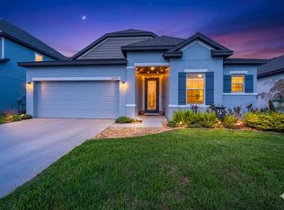 11220 Bram Bay Ct, San Antonio, FL 33576