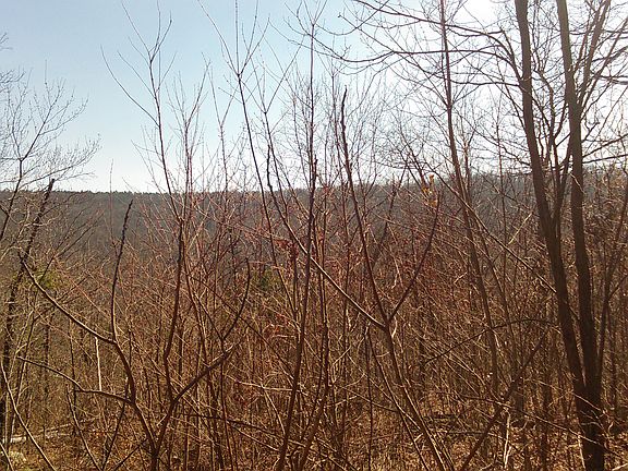 5th image of 164 Private Road 4588