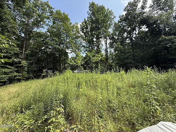 2nd image of 171 Jack Green Rd
