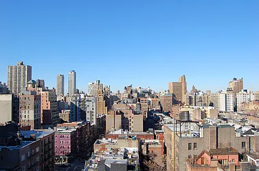 Sold by Carol E Levy