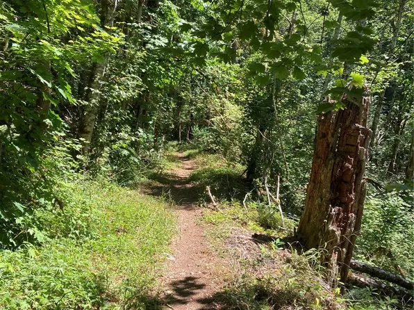 111 Non Assigned, Hoodsport, WA 98548