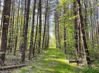 V/l 5 Montgomery Rd, Orwell, OH 44076