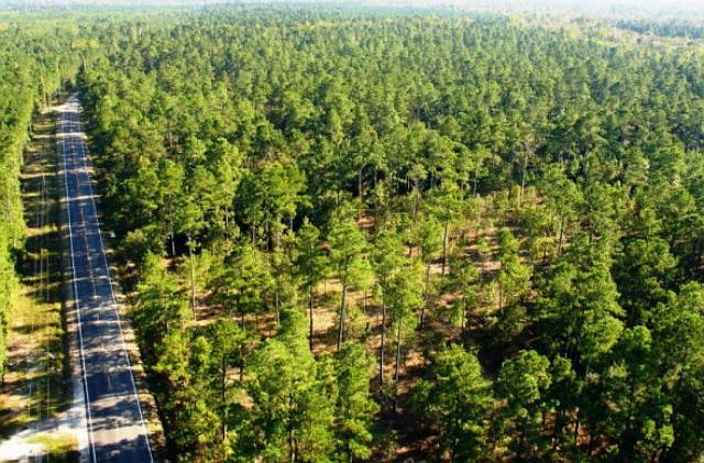 1st image of 2 Highway 210 LOT 2
