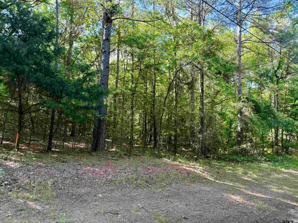 18561 Paradise Ln, Flint, TX 75762