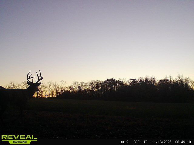 1st image of 957 E County Road 1450