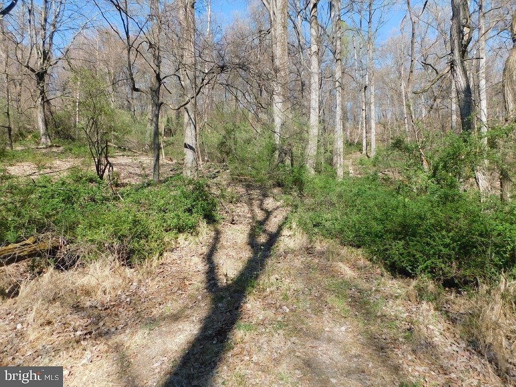 LOT 62 Timberline Dr B, Lost City, WV 26810 Zillow