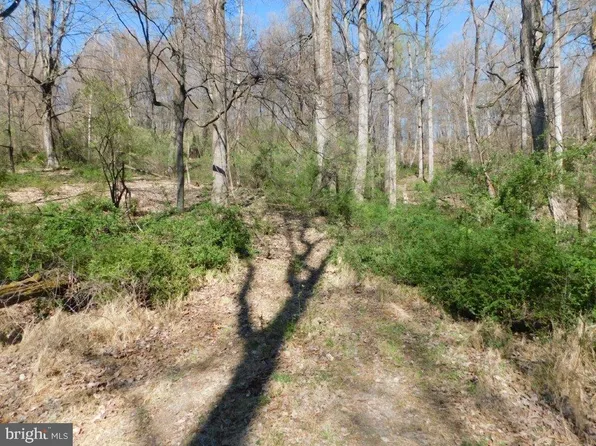 LOT 62 Timberline Dr #B, Lost City, WV 26810