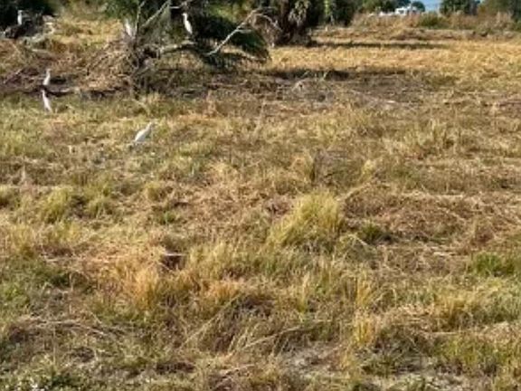 5th image of Lot- 1010 Antoinette Street