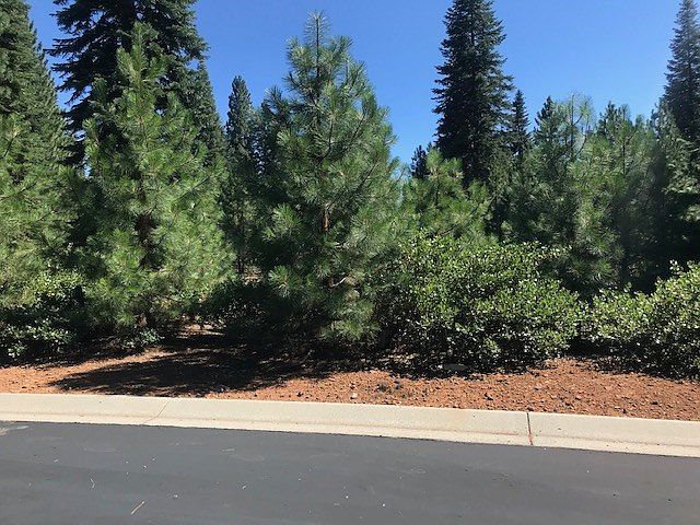 1st image of 718 Foxhollow Dr