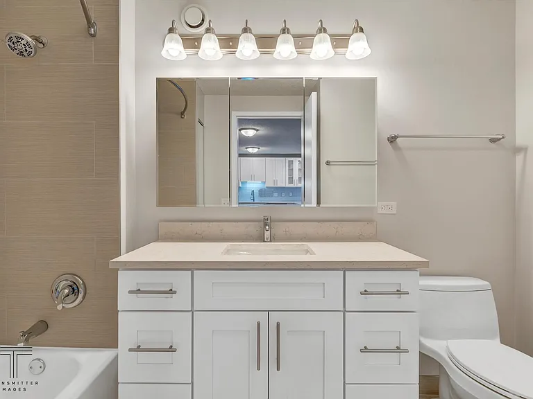 545 N Dearborn St #2503 — Photo 10