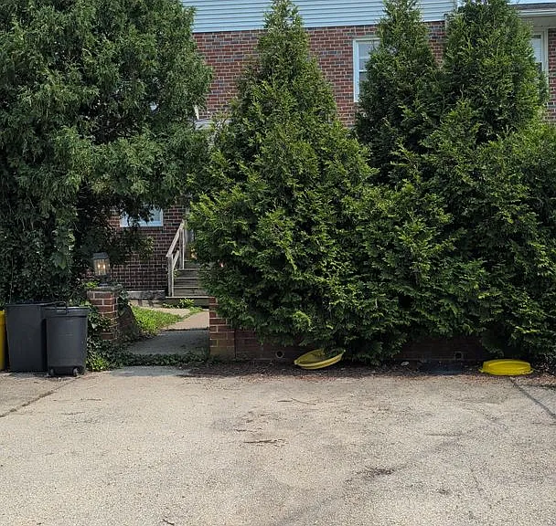 234 Plymouth Ave — Photo 6