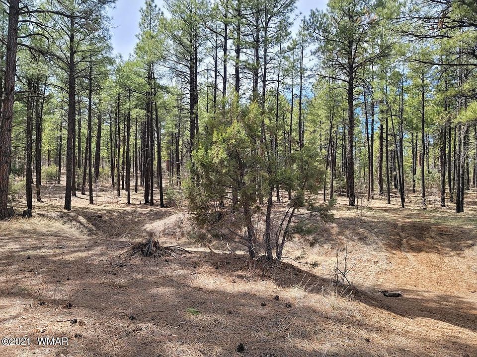 1st image of 2350 S Trillium Ln