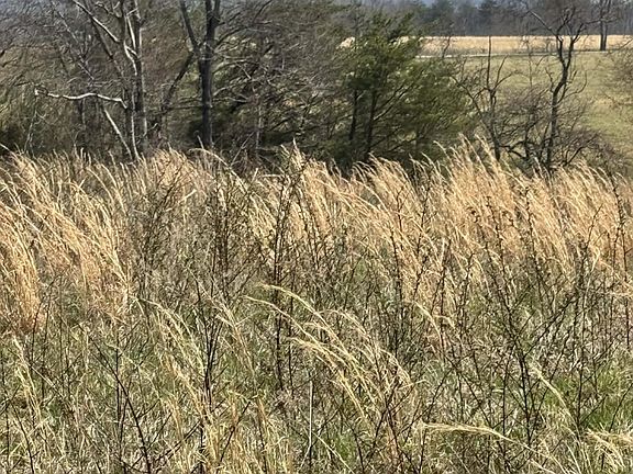3rd image of Knox Ln