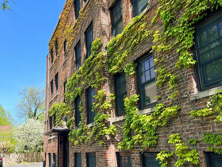 Amherst Woods Apartments — Photo 37