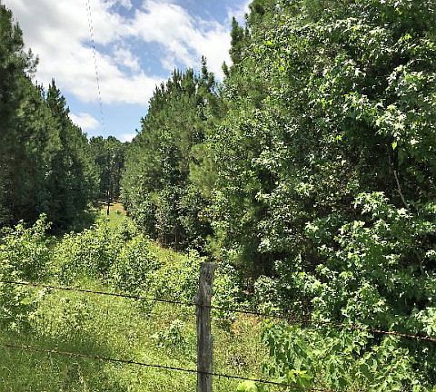 5th image of 1839 An County Road 442