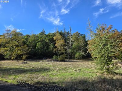 305 Laraut Ln, Roseburg, OR, 97471