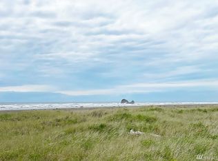 51 Copalis Rock Ln S, Copalis Beach, WA 98536
