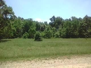 4th image of 6720 Scenic Woods NE #Pvt
