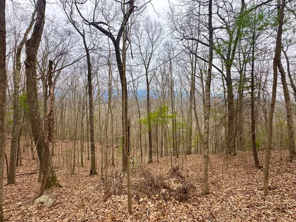 0 Taylor Ln #13, Covington, VA 24426