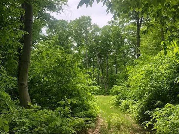 Lime Kiln Point Dr, Bois Blanc Island, MI 49775
