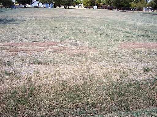 1st image of 2760 S Stewart Ave Lot E-175