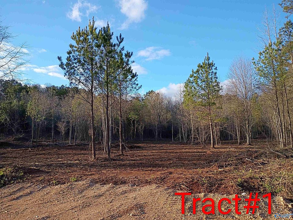 2nd image of TRACT 1 County Road 176