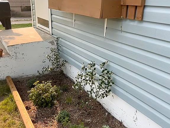 4th image of 1306 Dakota Ave