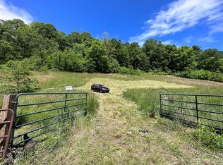 0 Black Branch Rd, Canton, NC 28716