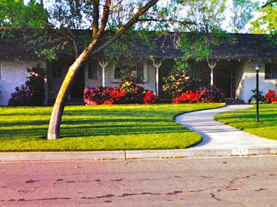 Front view during spring