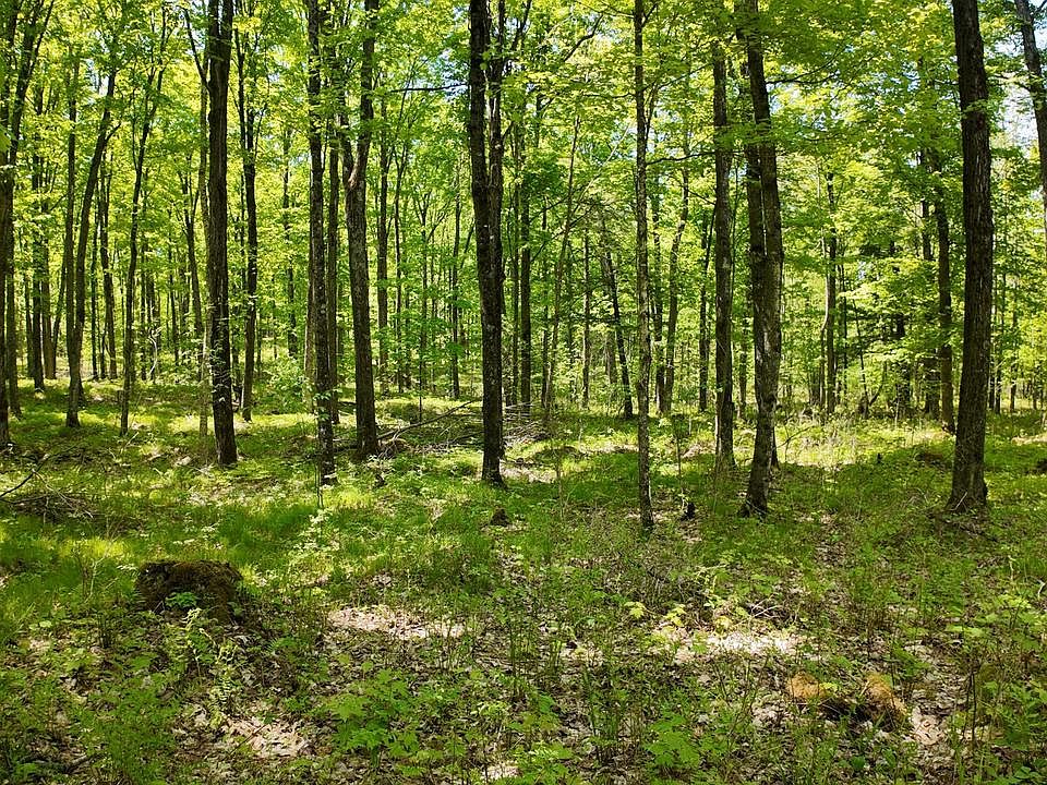 1st image of Lt1 FEDERAL FOREST ROAD #3903