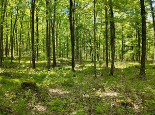 LT One Federal Forest Rd #3903, Laona, WI 54541