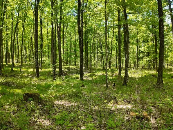 Lot 1 FEDERAL FOREST ROAD 3903 ROAD, Laona, WI 54541
