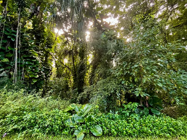 Ohiki St Lot 6, Pahoa, HI 96778